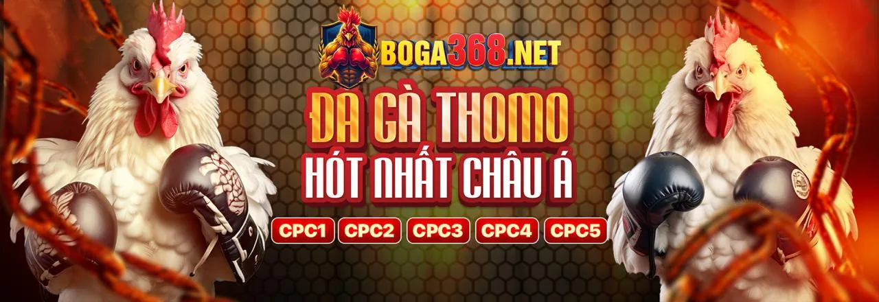 Đá gà trực tuyến vaobong88